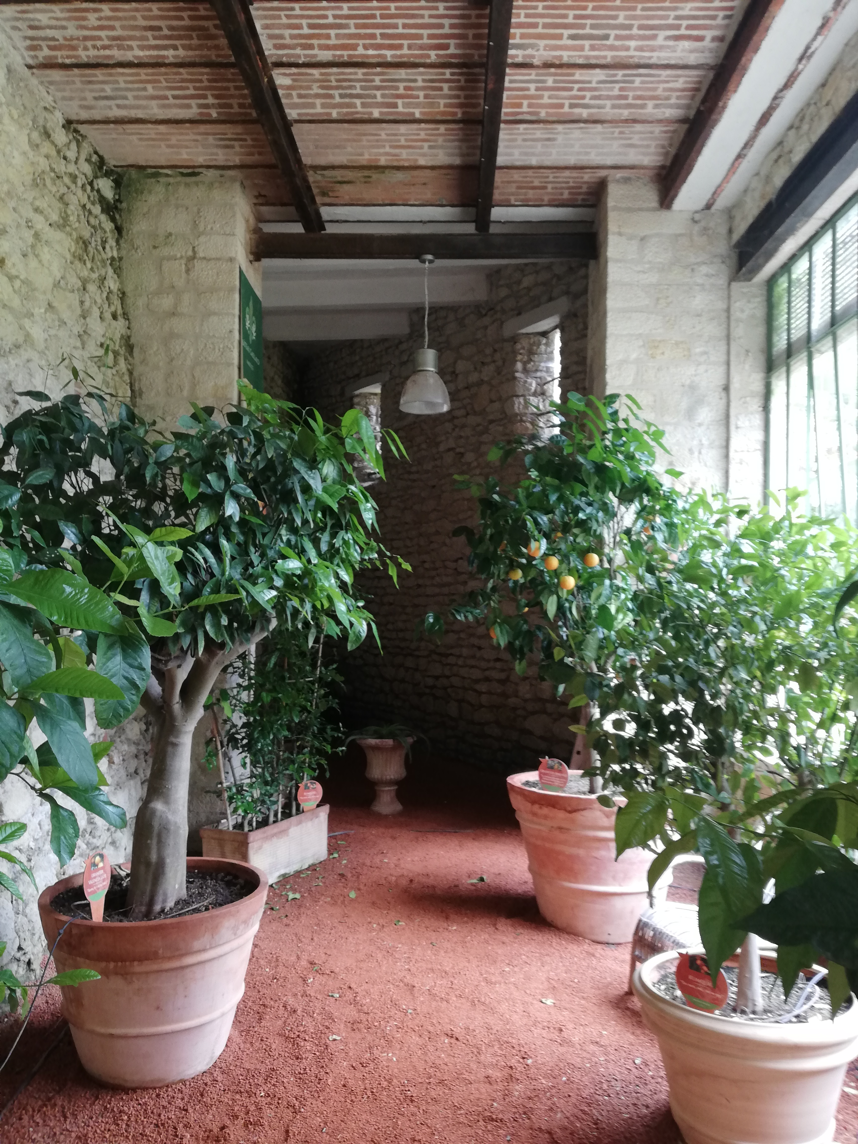 Photo n° 19 de l'avis de Elena.r fait le 13/06/2020 à 12:01