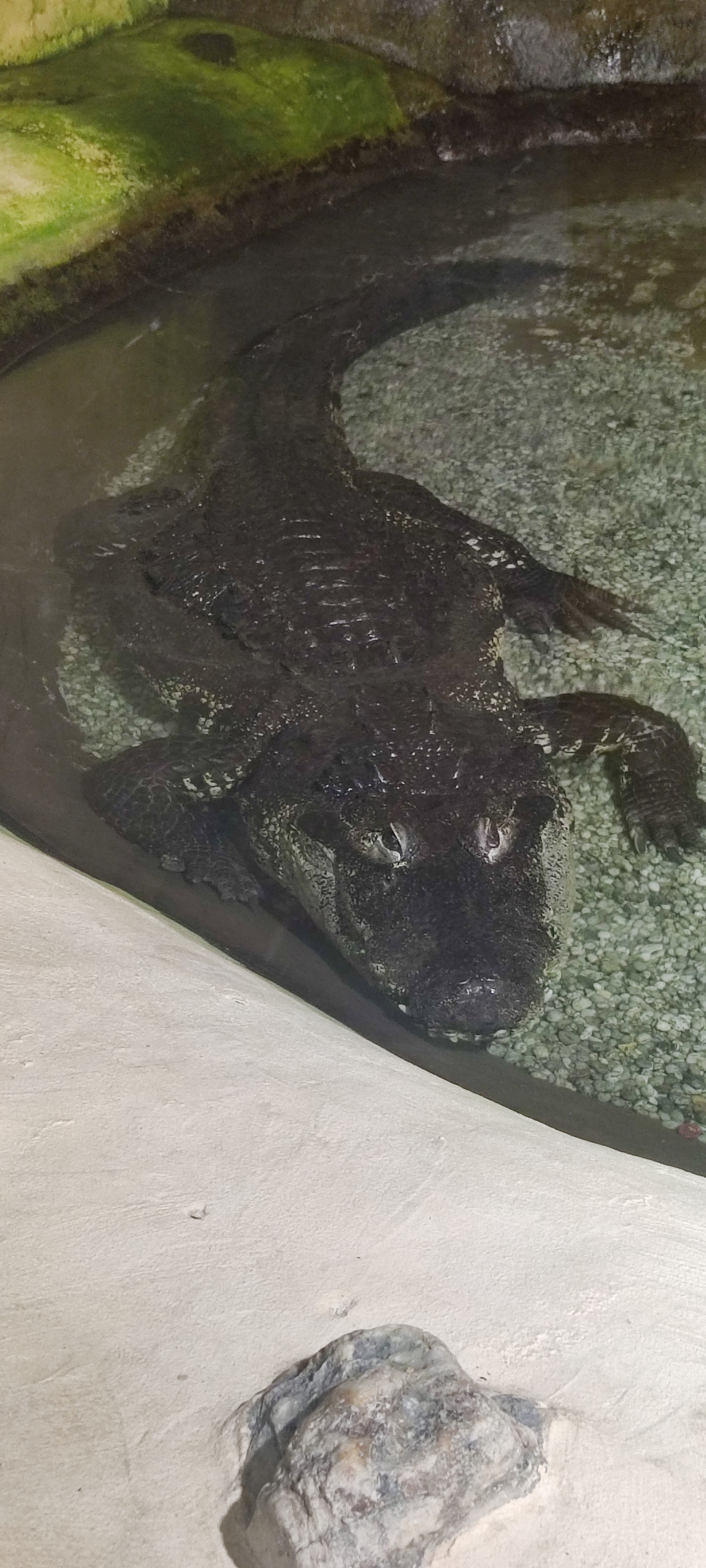 Photo n° 2 de l'avis de Yannick.o fait le 11/02/2023 à 16:29