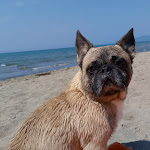 Photo n°5 de l'avis de Davide.o fait le 28/08/2019 à 09:41 sur le  Fuorirotta Beach Club à Marina di Grosseto