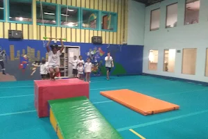 Flips Gymnastics image