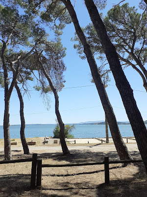 Aire de pique-nique La Nautique à Narbonne
