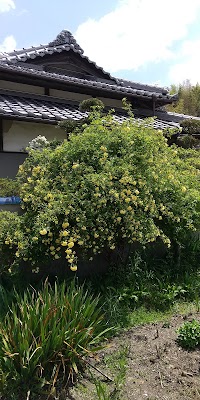 新成建設