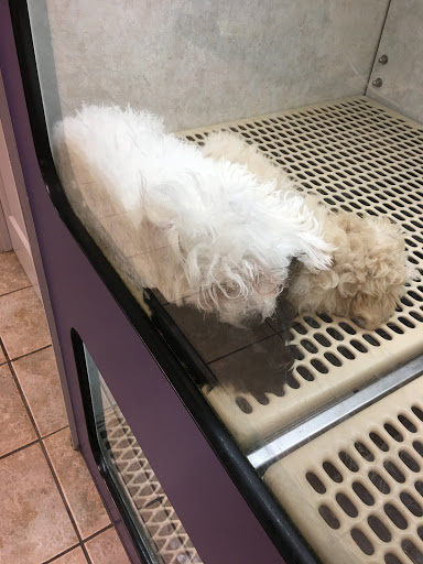 Pet Store «Pet City Pet Shops», reviews and photos, 750 Citadel Dr N # 2092, Colorado Springs, CO 80909, USA