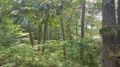 Event Venue «Lake Lanier Olympic Park», reviews and photos, 3105 Clarks Bridge Rd, Gainesville, GA 30506, USA