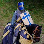 Photo n°2 de l'avis de Nicola.i fait le 28/06/2018 à 09:52 sur le  De Bello Canepiciano à Volpiano