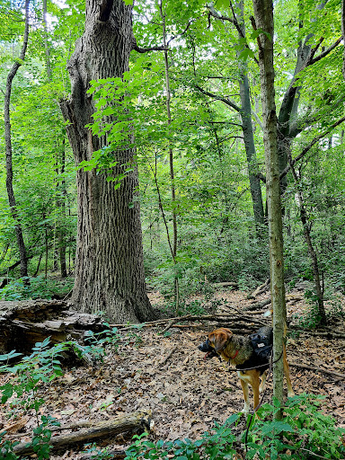 Golf Course «Brown Deer Park Golf Course», reviews and photos, 7625 N Range Line Rd, Glendale, WI 53209, USA