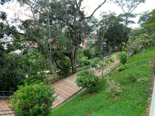 Lugares para celebrar cumpleaños con piscina en Bucaramanga