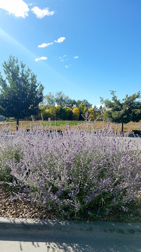 Car Wash «The Glo Car Wash», reviews and photos, 6315 Sheridan Blvd, Arvada, CO 80003, USA