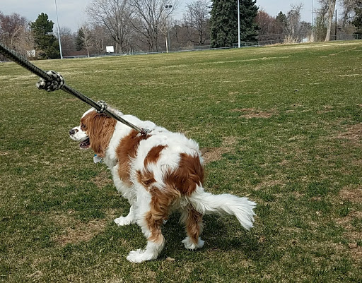 Park «Panorama Park», reviews and photos, W 35th Ave & Fenton St, Wheat Ridge, CO 80033, USA