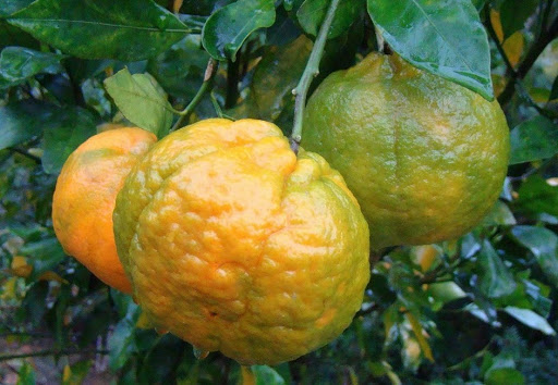 Grocery Store «Narin Market LLC», reviews and photos, 759 Potters Ave, Providence, RI 02907, USA