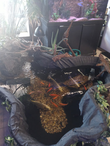 Pet Store «Animal Attraction», reviews and photos, 2518 11th Ave, Greeley, CO 80631, USA