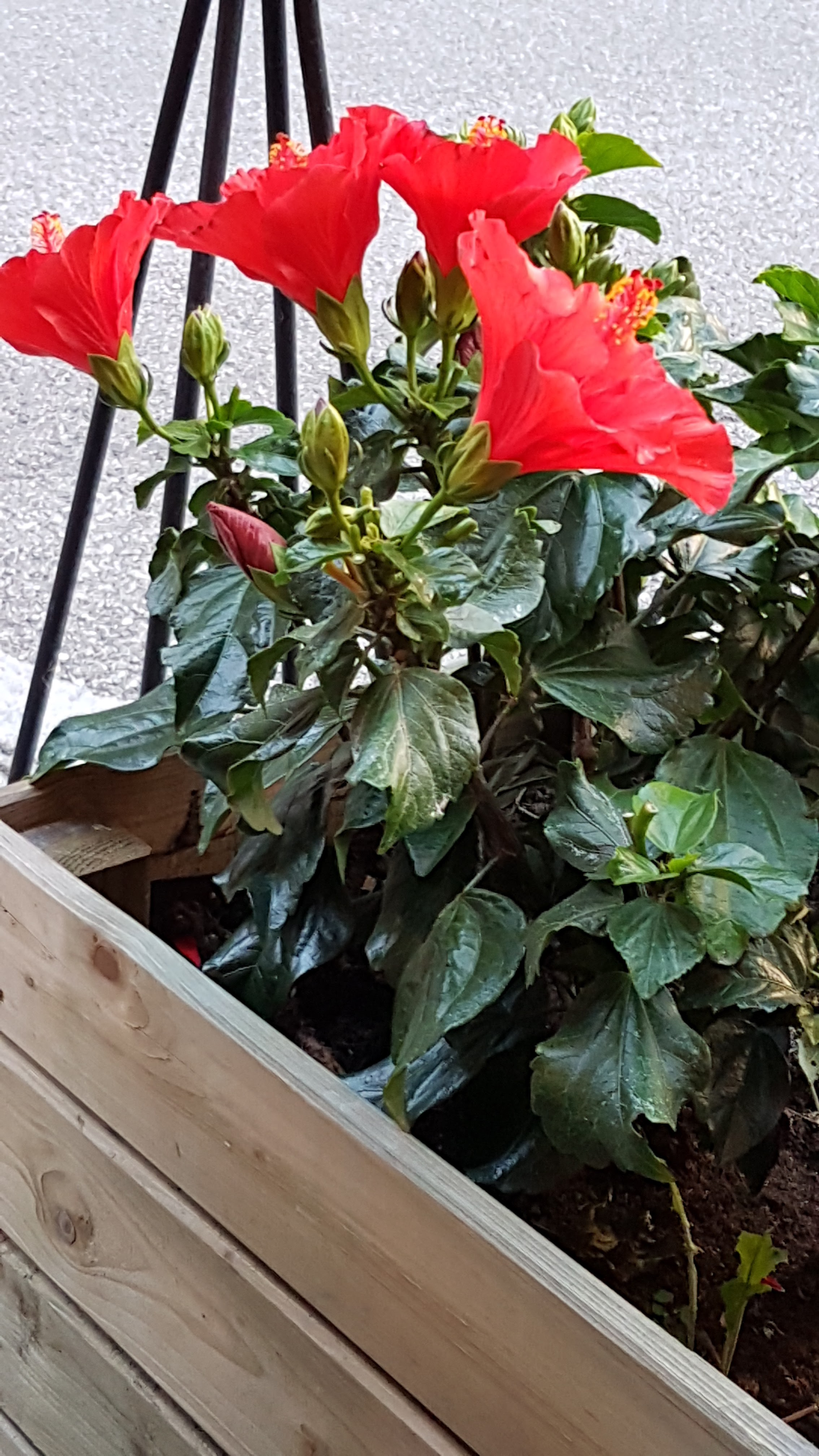 Photo n° 5 de l'avis de Lydie.o fait le 21/08/2018 à 06:50