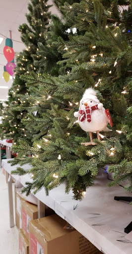 Department Store «Target», reviews and photos, 1825 E Primrose St, Springfield, MO 65804, USA