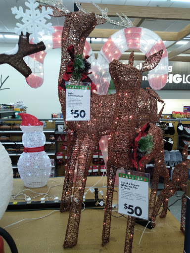 Discount Store «Big Lots», reviews and photos, 5702 Nolensville Pike, Nashville, TN 37211, USA