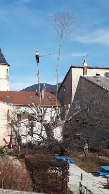 montoarbres à Sigoyer