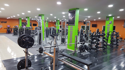 Petra Falcon Center / Fitness & Bodybuilding - حي الاقليم / Agleem Area, Wadi Musa, Jordan