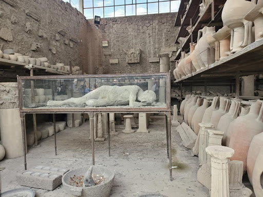 Travel Agency «Red Carpet World Travel», reviews and photos, 3025 S Parker Rd #735, Aurora, CO 80014, USA