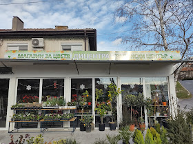 Магазин за цветя ДИЦЕНТРА