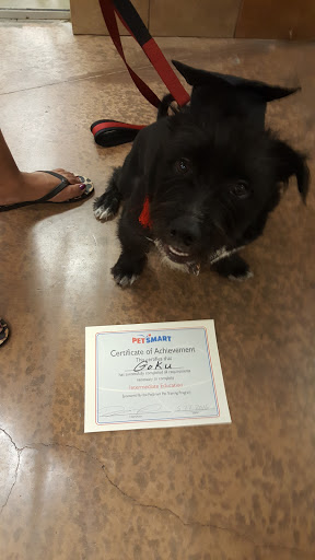 Pet Supply Store «PetSmart», reviews and photos, 1140 W Elliot Rd, Tempe, AZ 85284, USA