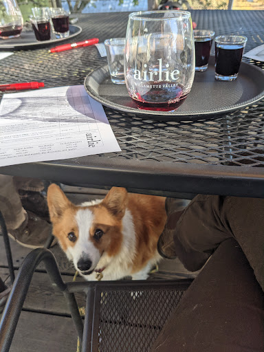 Winery «Airlie Winery», reviews and photos, 15305 Dunn Forest Rd, Monmouth, OR 97361, USA