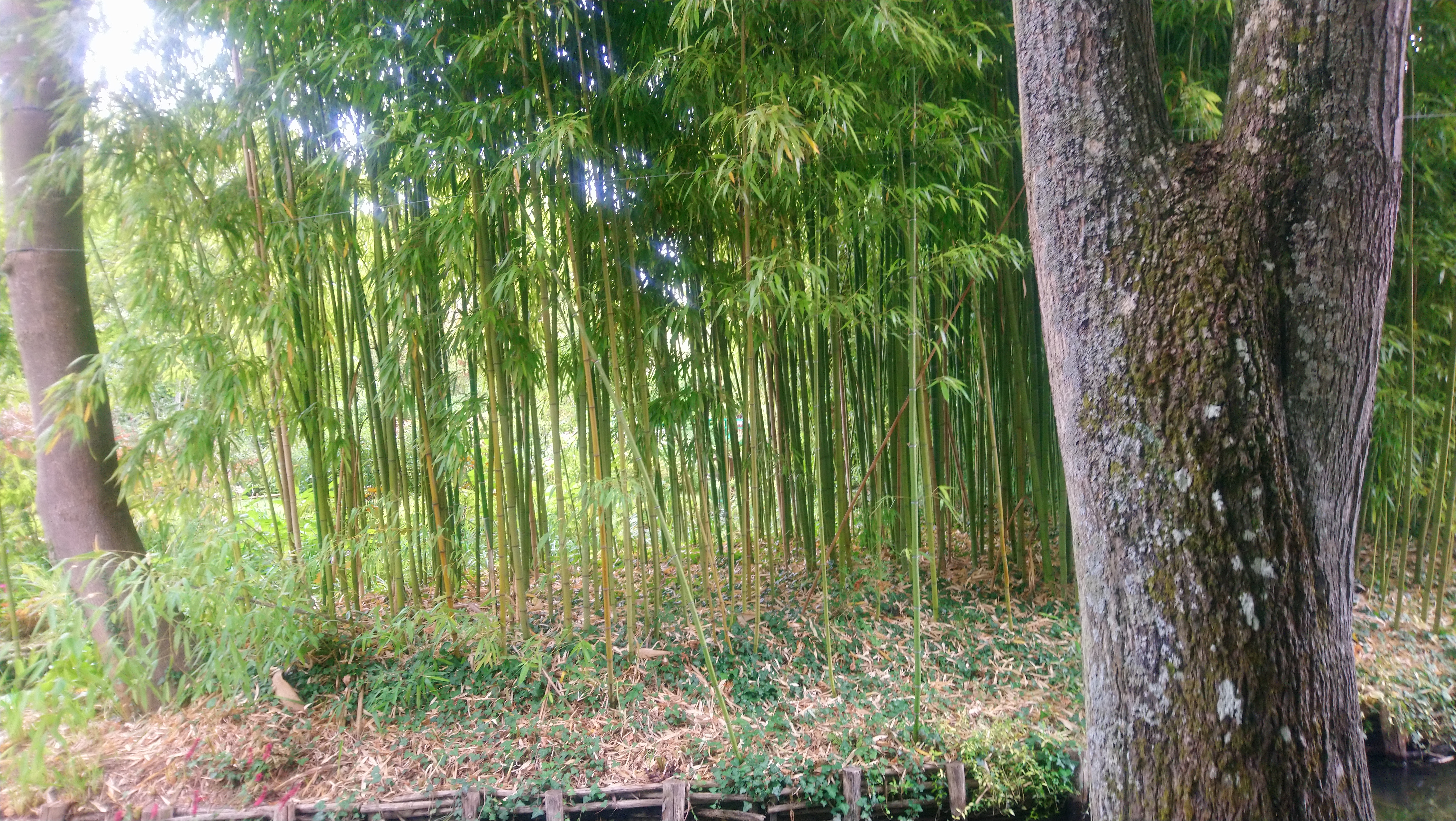 Photo n° 5 de l'avis de Angèle.K fait le 03/08/2020 à 11:24