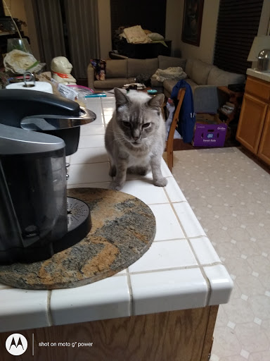 Clothing Store «Ross Dress for Less», reviews and photos, 2745 E Bidwell St, Folsom, CA 95630, USA