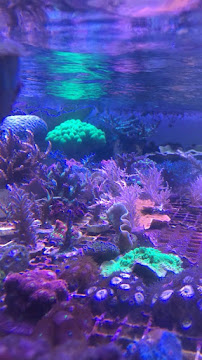 Tidalzone Maintenance LLC - Photo 3 - Car repair in Medford, OR, Medford