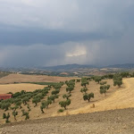 Photo n°14 de l'avis de jean.e fait le 09/08/2022 à 20:21 sur le  Agriturismo Rende à Tarsia