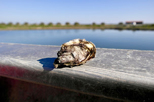 Photo n°7 de Cabane du Boutillon à Ars-en-Ré ()