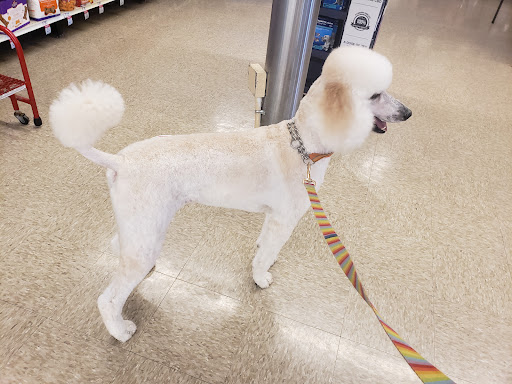 Pet Supply Store «PetSmart», reviews and photos, 9122 Mentor Ave, Mentor, OH 44060, USA