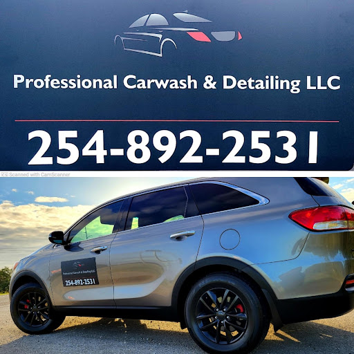 Professional carwash & detailing LLC