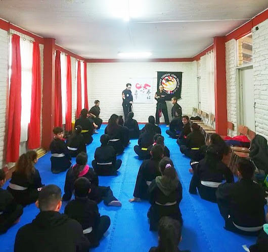 Opiniones de Cardenas Kenpo Karate en Lo Prado - Escuela