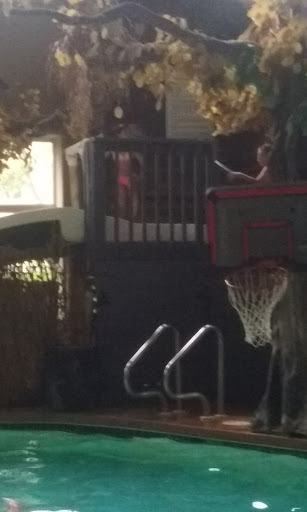 Water Park «Crawdaddy Cove Indoor Water Park», reviews and photos, 1109 Fourier Dr, Madison, WI 53717, USA