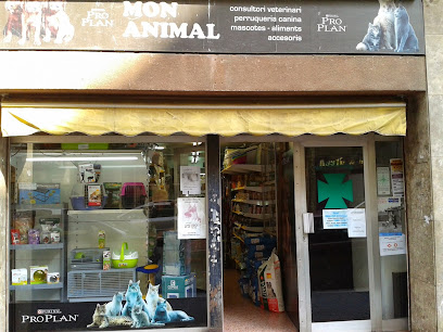 Món Animal - Servicios para mascota en Barcelona
