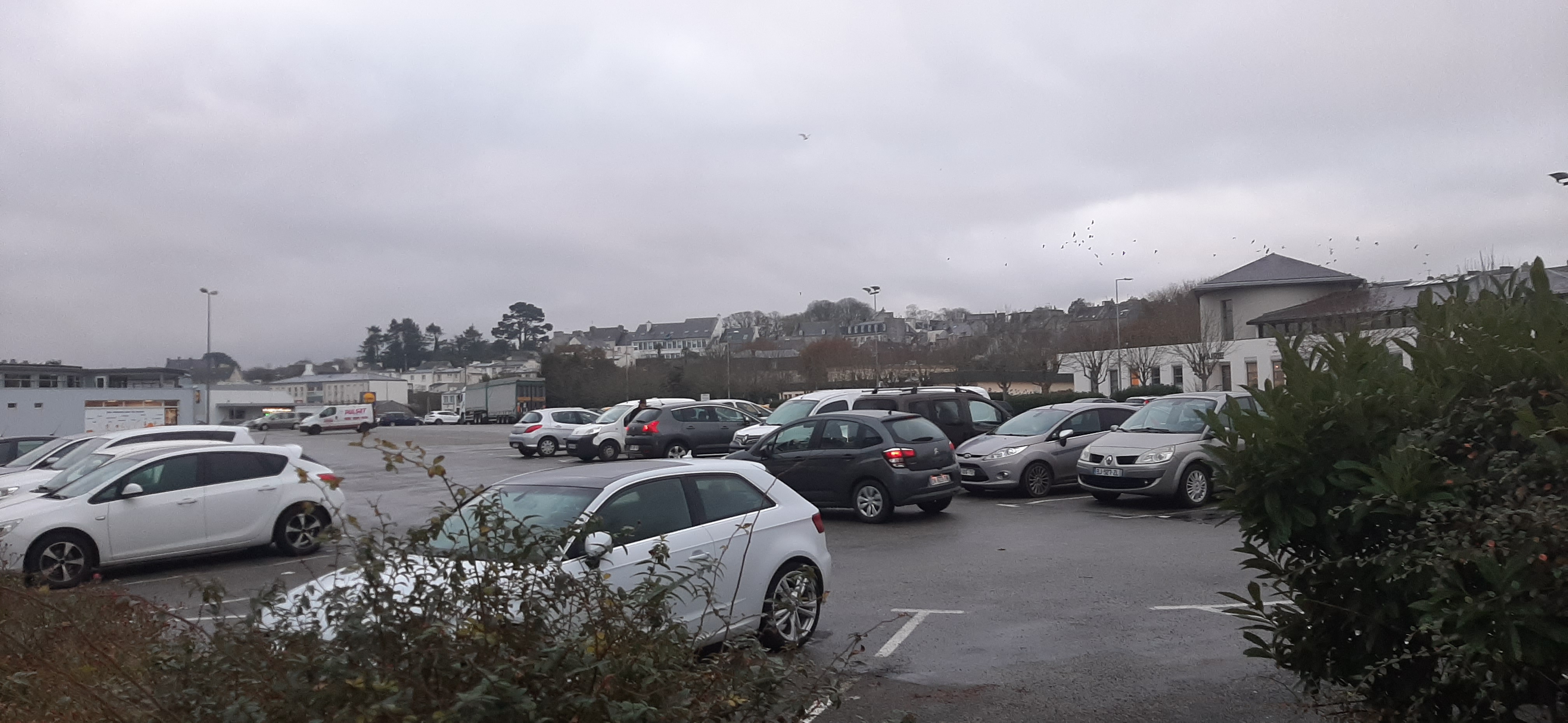Photo n° 2 de l'avis de Marcelo.a fait le 23/11/2020 à 12:20