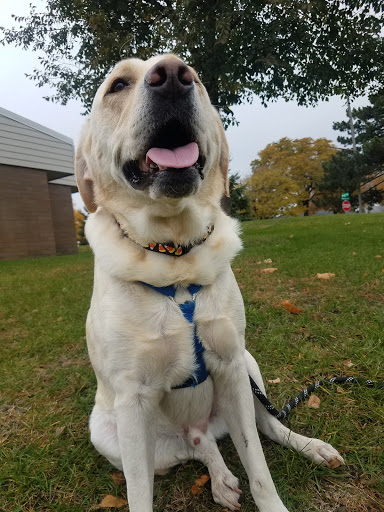 Park «Strachauer Park», reviews and photos, 6200 Beard Ave S, Edina, MN 55410, USA