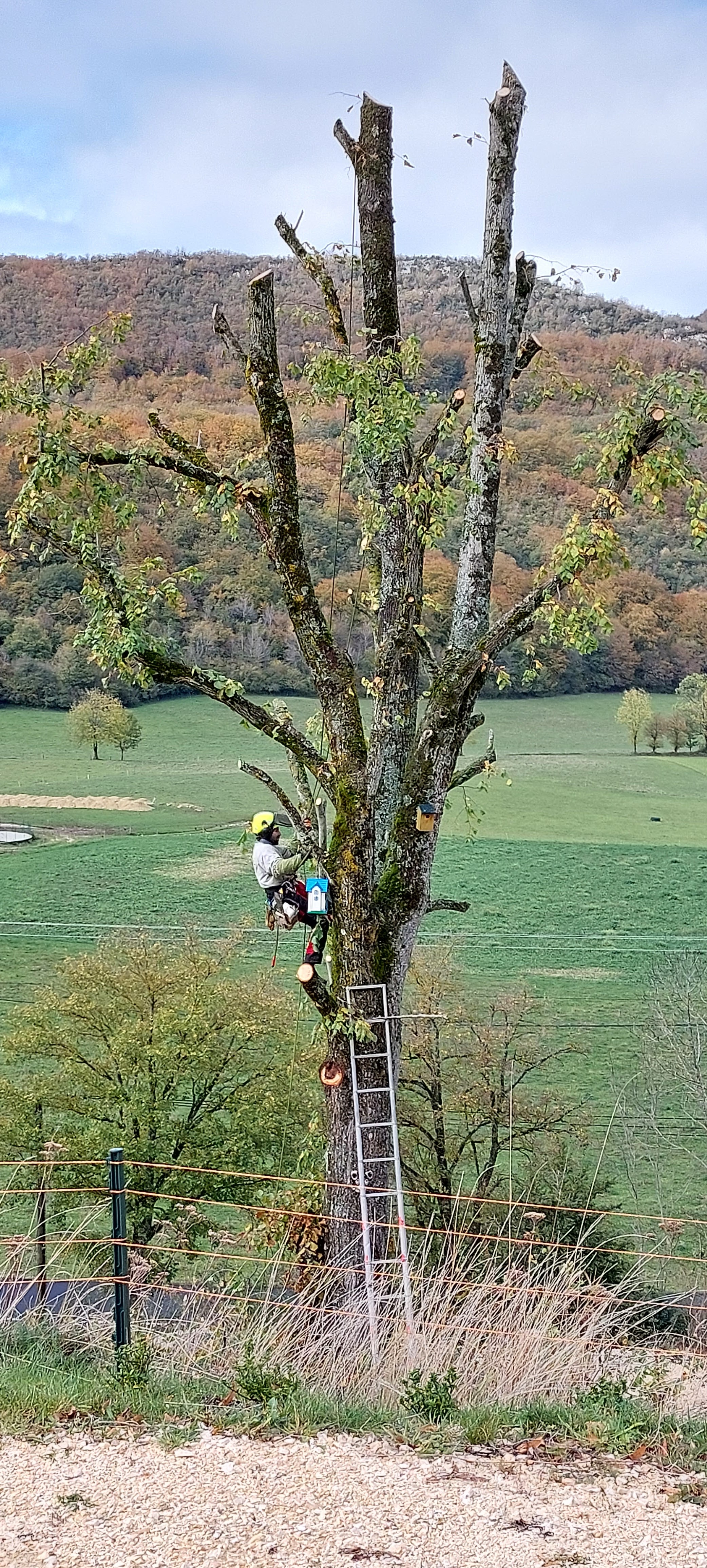 Photo n° 1 de l'avis de robert. fait le 12/11/2023 à 10:52