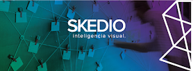 Skedio Branding