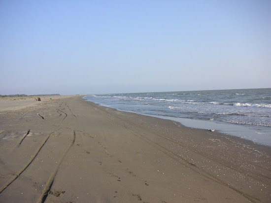 Tarsus beach
