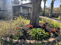 Lucky Ducks skid services - Photo 1 - Car repair in , Columbia