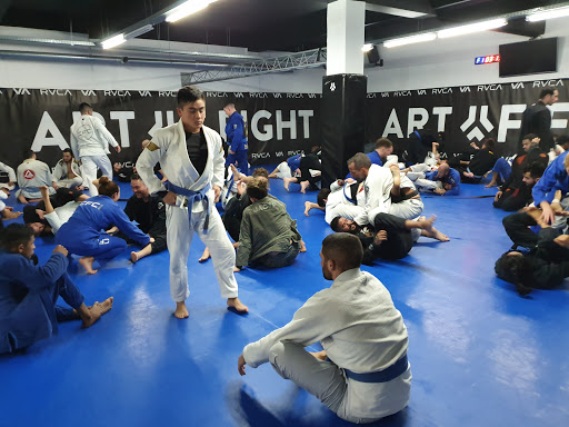 Art Of Fight Academy