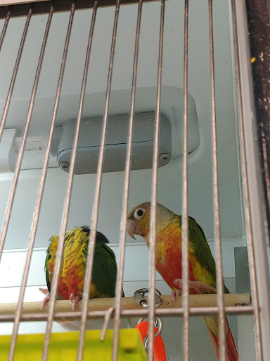 Pet Supply Store «Pet Supplies Plus», reviews and photos, 14839 Detroit Ave, Lakewood, OH 44107, USA