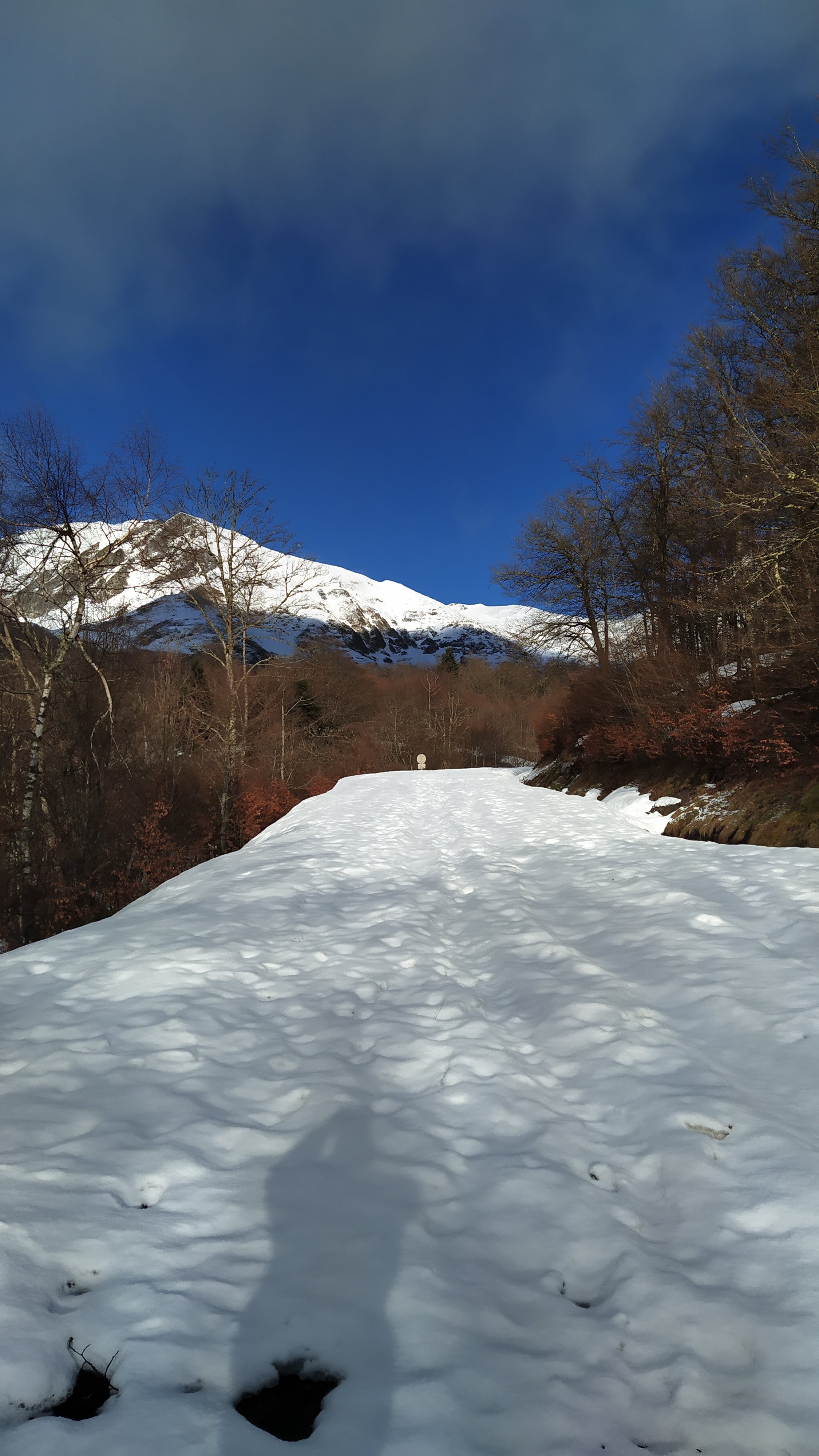 Photo n° 1 de l'avis de TaZx.a fait le 23/03/2022 à 22:08