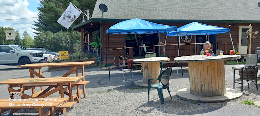 Reservoir Dog Saloon