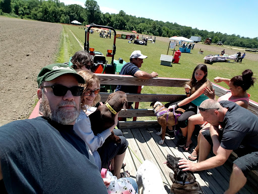 Dog Care «Hot Diggity Dog!», reviews and photos, 425 Salina Rd, Sewell, NJ 08080, USA