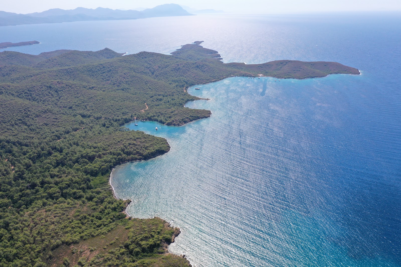 Gokagac beach'in fotoğrafı vahşi alan