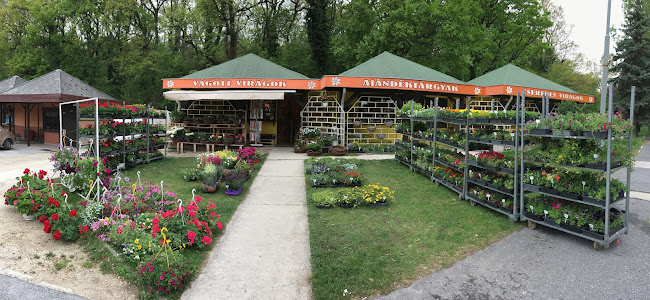 Némethné Tárnai Zita Virágbolt - Balatonfűzfő