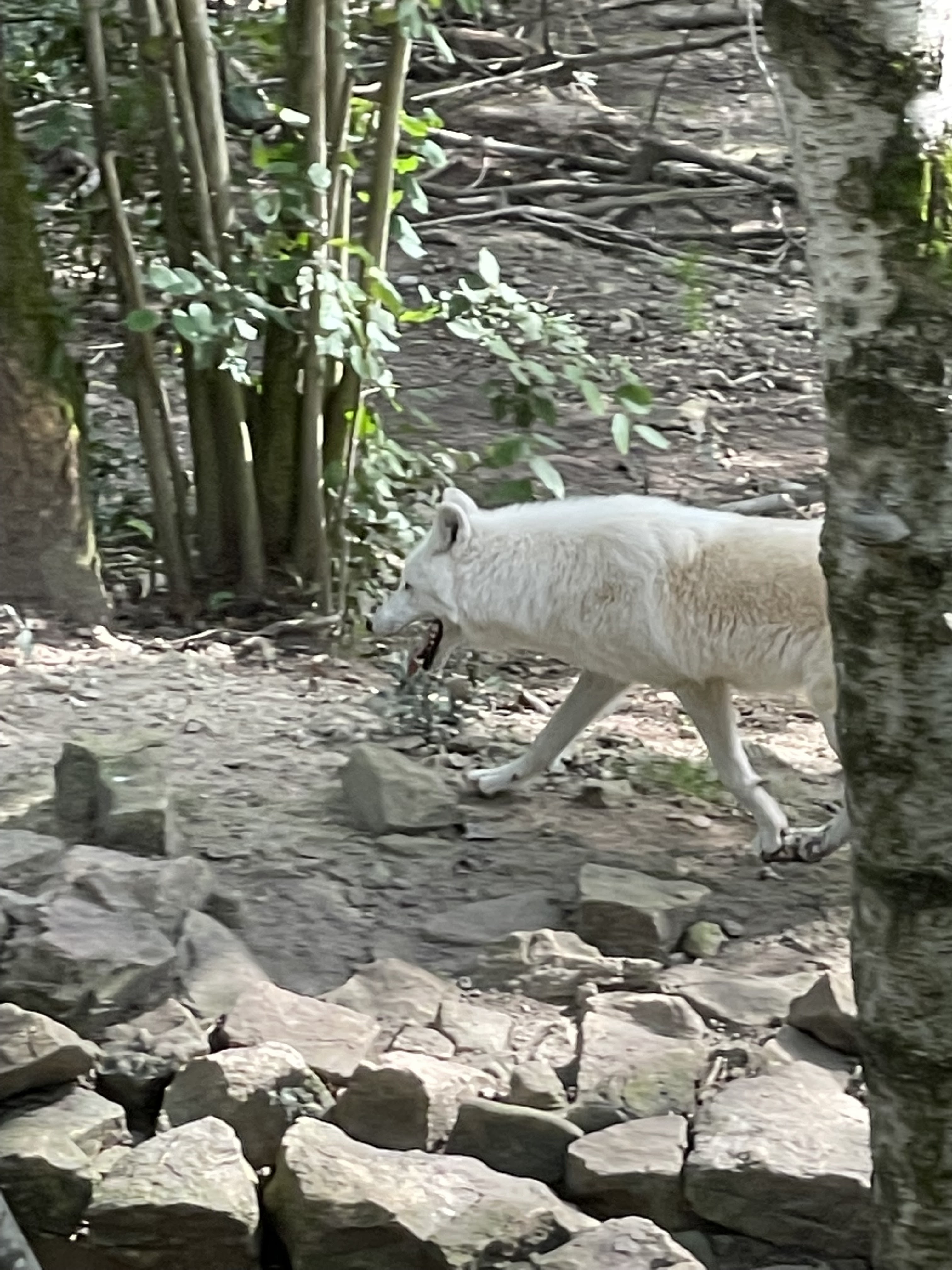 Photo n° 23 de l'avis de joel.u fait le 22/09/2021 à 14:33