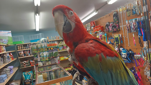 Tropical Fish Store «Midway Tropical Fish & Pets», reviews and photos, 24101 Pacific Hwy S, Kent, WA 98032, USA