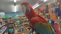 Midway Tropical Fish & Pets - Photo 8 - Car repair in Kent, WA, Tacoma